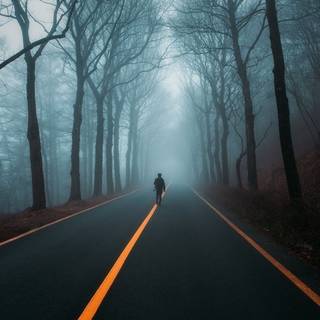 Road by Nathaniel Merz