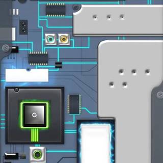 Google Processor 