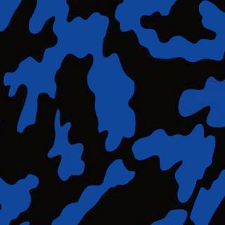 Camouflage 