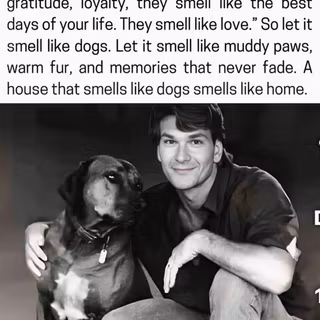 A home that smells like a dog