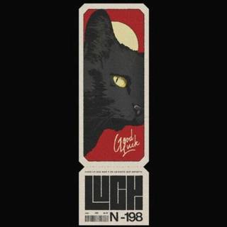 The Cat with All the Luck
