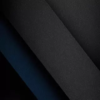 Abstract 