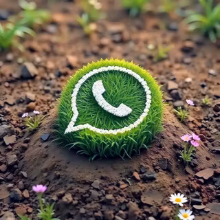 Ntires Whatsapp