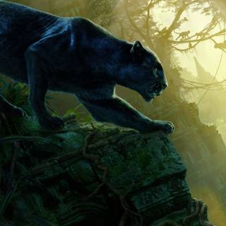 panther