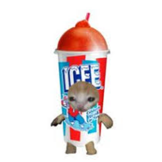 icee :3