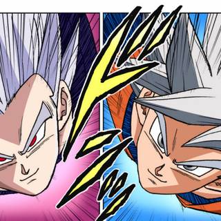 mastered ultra instinct vs. Gohan beast