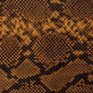 Snake Skin