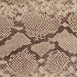 Snake Skin