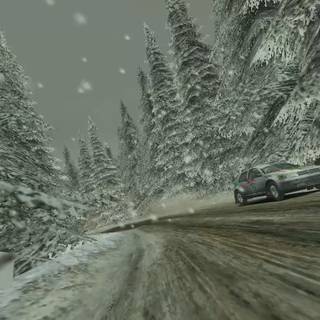 Colin McRae Rally 04
