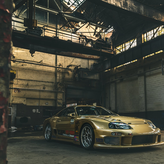 Golden Supra 