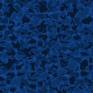 Blue Camo