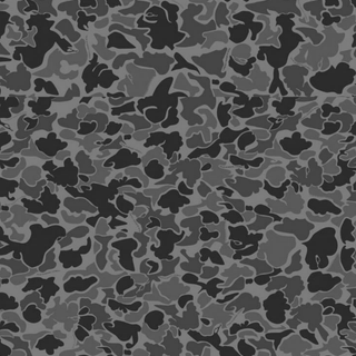 Camouflage 
