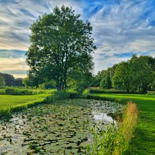 Netherland,Alphen aan den Rijn