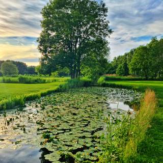 Netherland,Alphen aan den Rijn