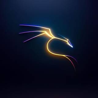 KALI Linux penetration testing linux distro