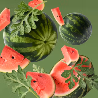 Watermelons