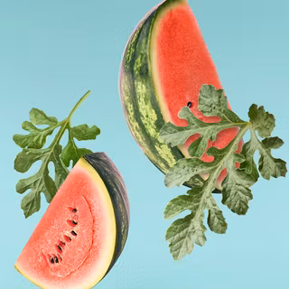 Watermelon 3
