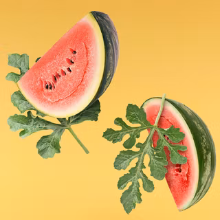 Watermelon 5