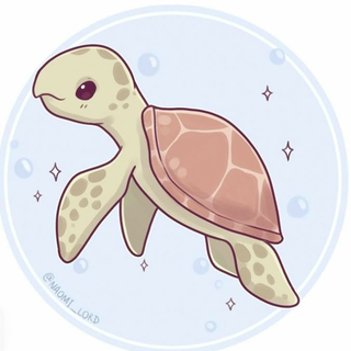 Turtle
