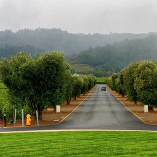 Carretera