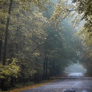 Camino