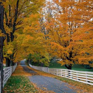 Otoño