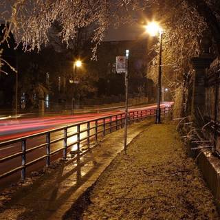 Street