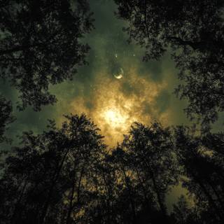 Lunar Silence