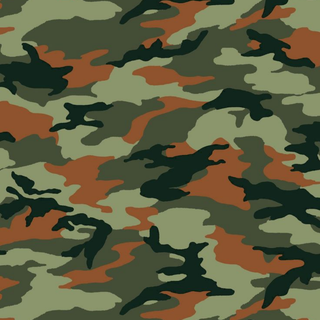 Camouflage 