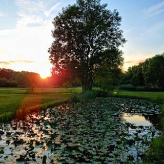 Netherland,Alphen aan den Rijn