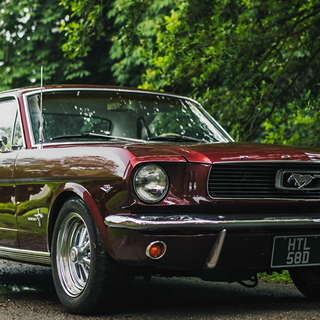 Mustangs Rule