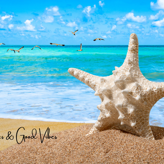 High Tides & Good Vibes Wallpaper