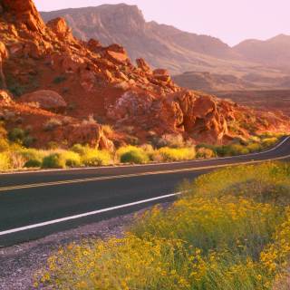 Nevada, USA