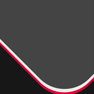 Vector 