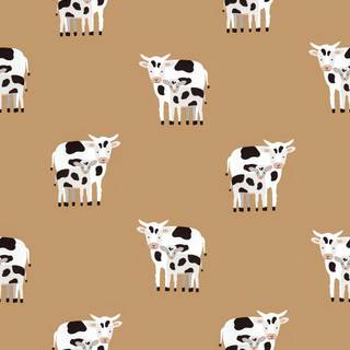 Cows