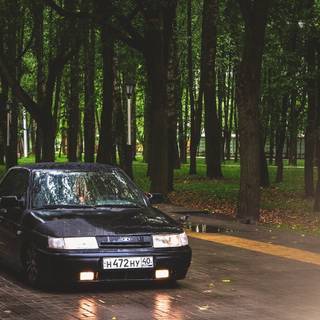 lada din parc