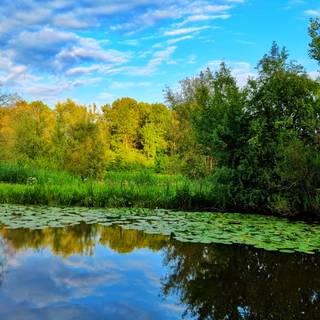 Netherland,Alphen aan den Rijn