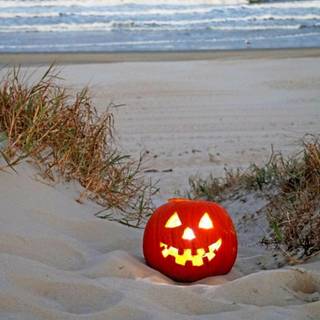 Pumpkin on the beach
