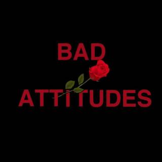 Attitude 