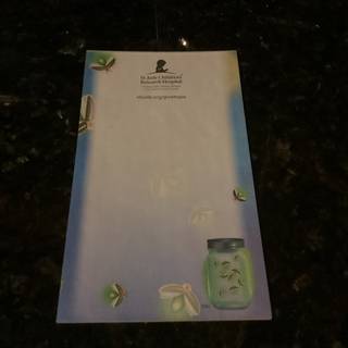 St. Jude’s Lightning Bug Notepad