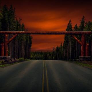 Apusul dinspre padure