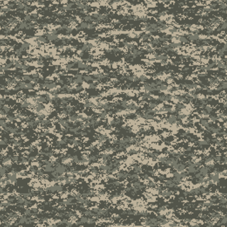 Camouflage 