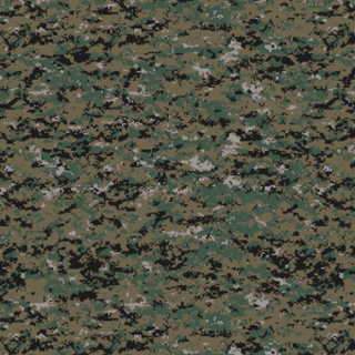 Digital Camo