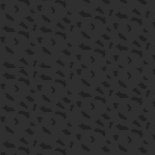 Camouflage 