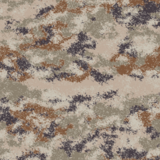 Camouflage 