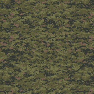 Camouflage Pattern 