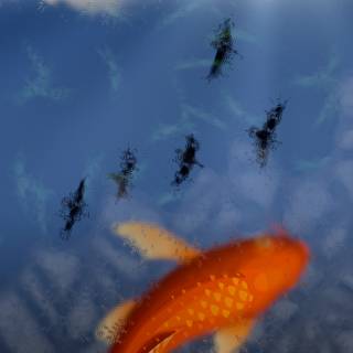 Samsung S25 Ultra Wallpaper Rain in June