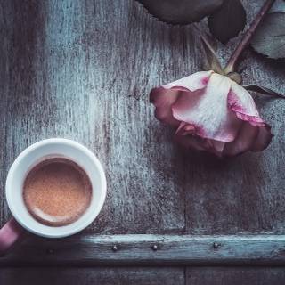 cup coffee rose flowers
