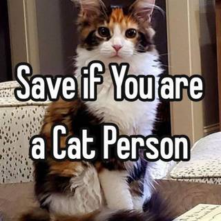 MY FAV ANIMALS <33333