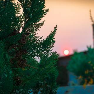  apus de soare Las Cruces